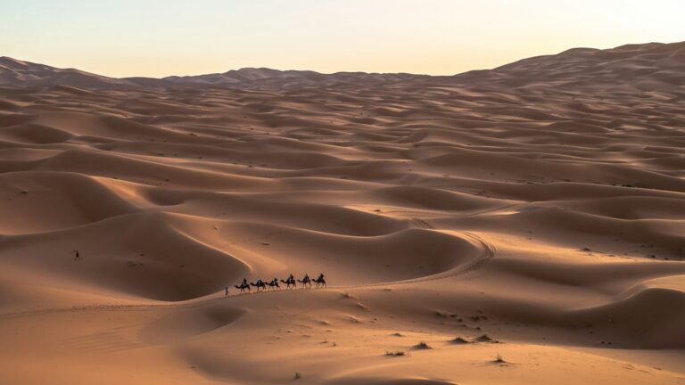 Ultimate 5-Day Morocco Desert Itinerary